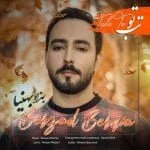 دانلود آهنگ بهزاد بهنیا به نام تب تو